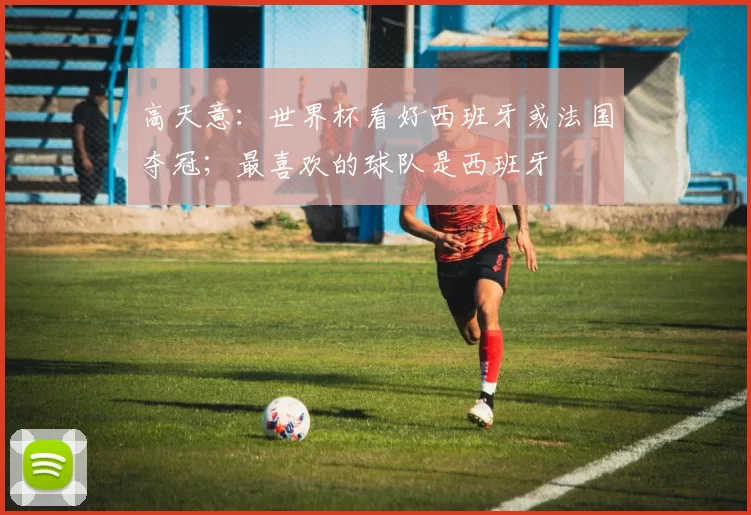 高天意:世界杯看好西班牙或法国夺冠;最喜欢的球队是西班牙