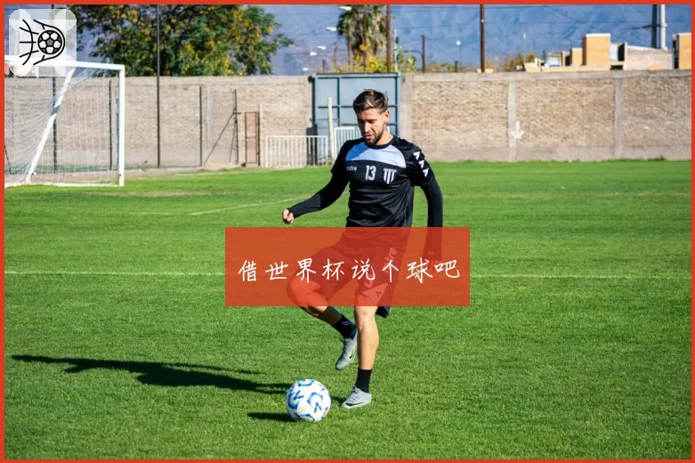 借世界杯说个球吧