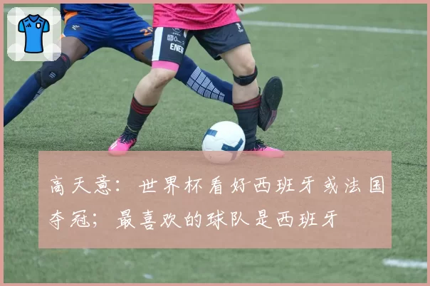 高天意:世界杯看好西班牙或法国夺冠;最喜欢的球队是西班牙