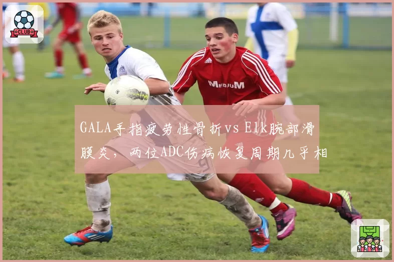 GALA手指疲劳性骨折vs Elk腕部滑膜炎,两位ADC伤病恢复周期几乎相同